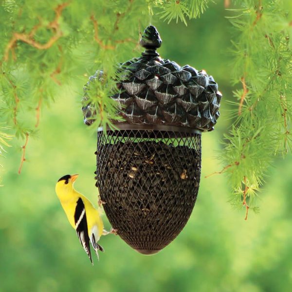 Acorn Bird Feeder